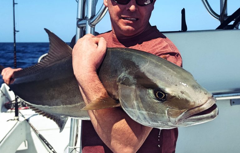 Man in sunglasses holding large amberjack fish at Anna Maria Island on fishing charter after deep sea fishing