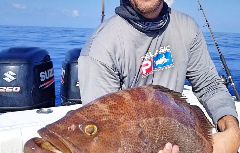 Scamp Grouper on Fishing Charter